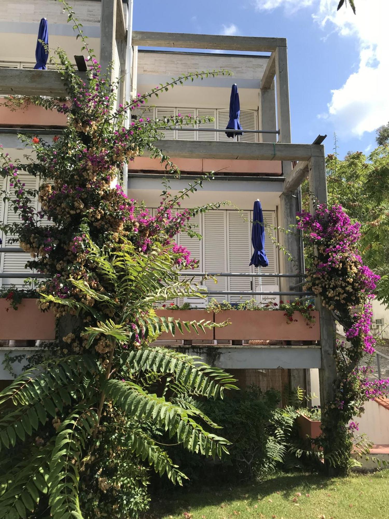 Hotel Viticcio Portoferraio Quarto foto